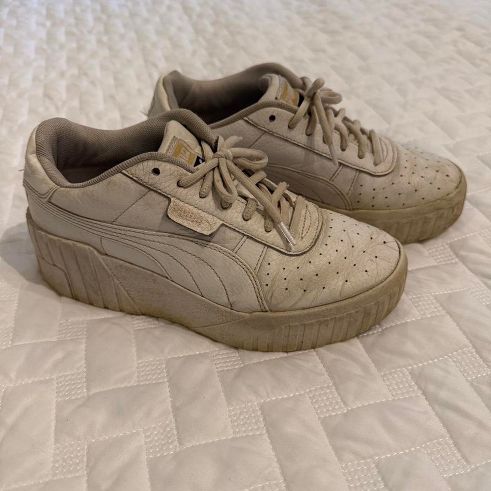 Puma Platforms